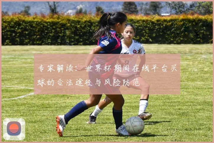 专家解读：世界杯期间在线平台买球的合法途径与风险防范