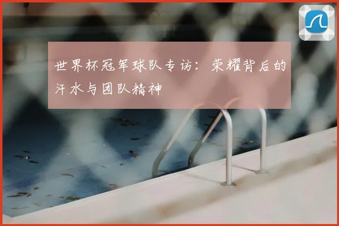世界杯冠军球队专访：荣耀背后的汗水与团队精神