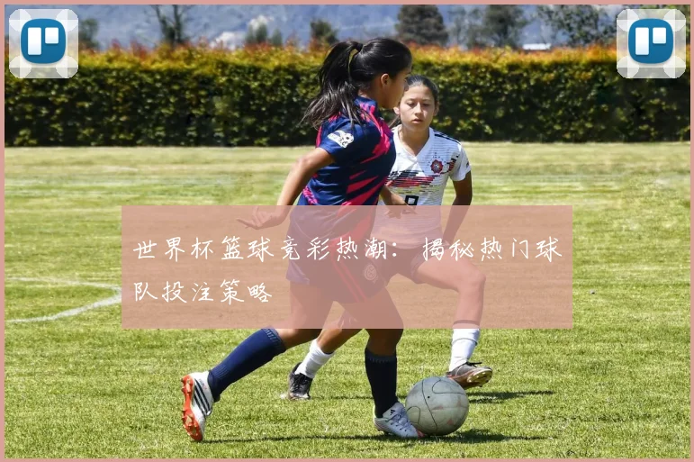 世界杯篮球竞彩热潮：揭秘热门球队投注策略
