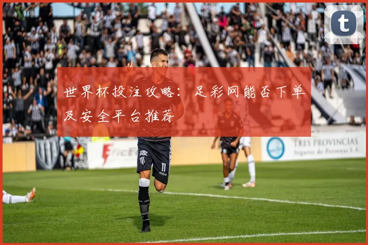 世界杯投注攻略：足彩网能否下单及安全平台推荐