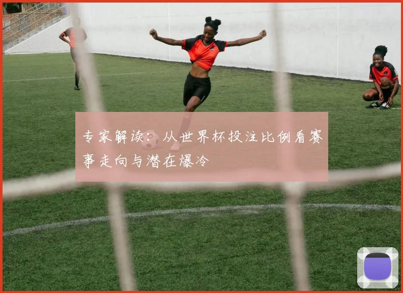 专家解读：从世界杯投注比例看赛事走向与潜在爆冷