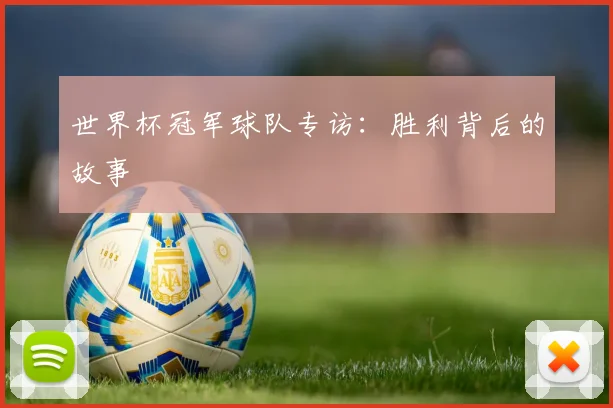 世界杯冠军球队专访：胜利背后的故事