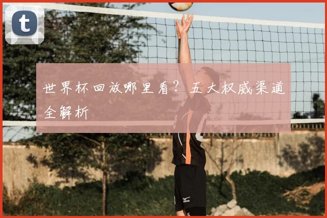 世界杯回放哪里看？五大权威渠道全解析