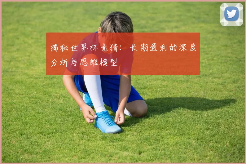 揭秘世界杯竞猜：长期盈利的深度分析与思维模型