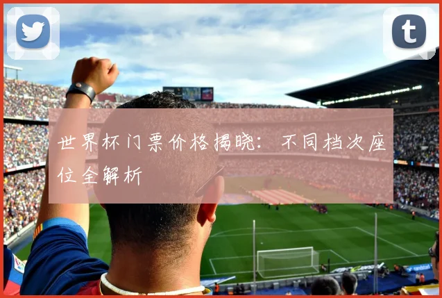 世界杯门票价格揭晓:不同档次座位全解析