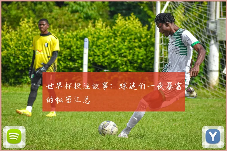世界杯投注故事：球迷们一夜暴富的秘密汇总