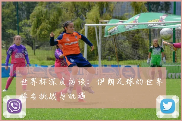 世界杯深度访谈：伊朗足球的世界排名挑战与机遇